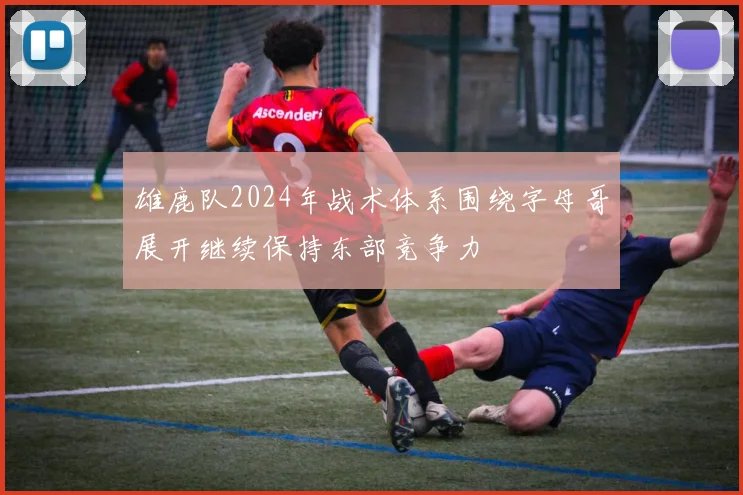 雄鹿队2024年战术体系围绕字母哥展开继续保持东部竞争力